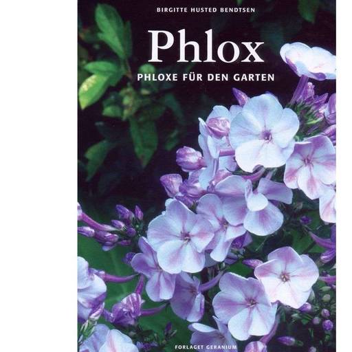 Phlox Phloxe Fur Den Garten